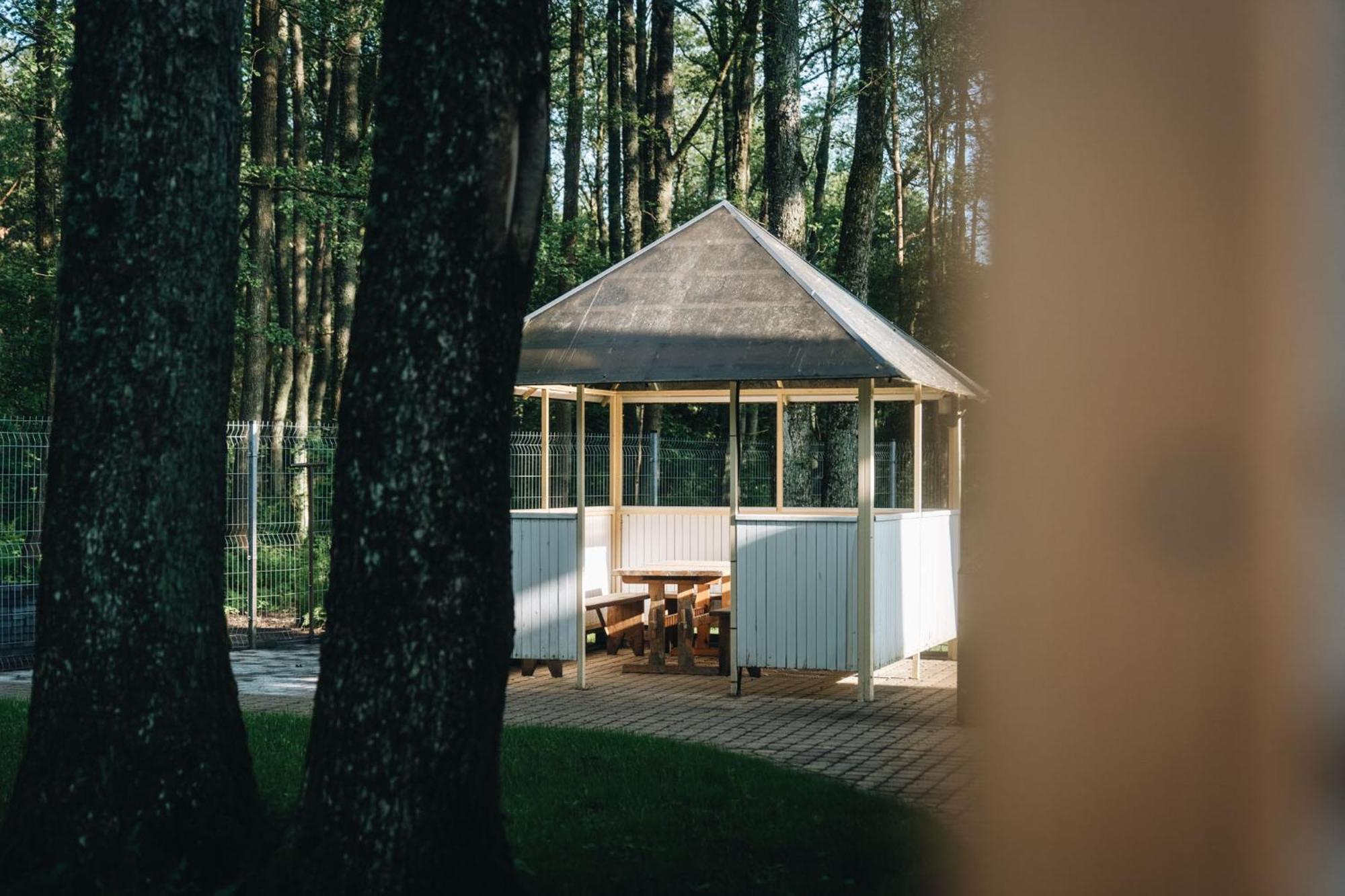 Nemirseta Apartment Palanga Luaran gambar
